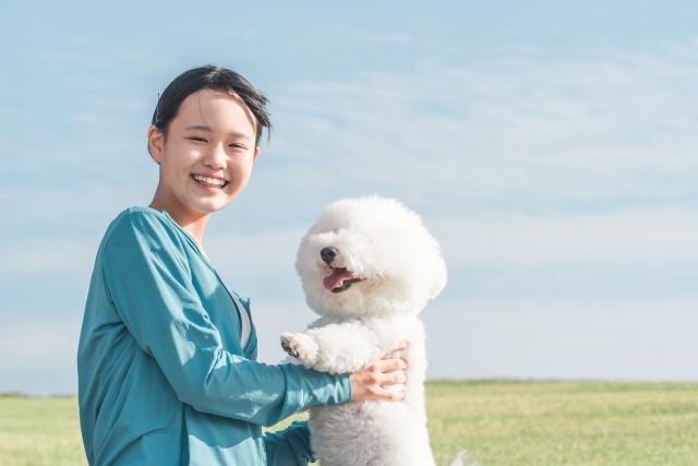 子犬のミミダニによる外耳炎の一例