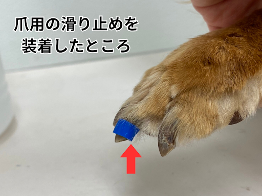 爪用の滑り止めを装着したところ