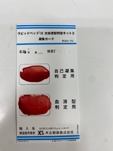 犬血液型判定キット