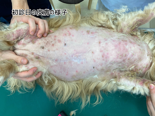 初診日の皮膚の様子