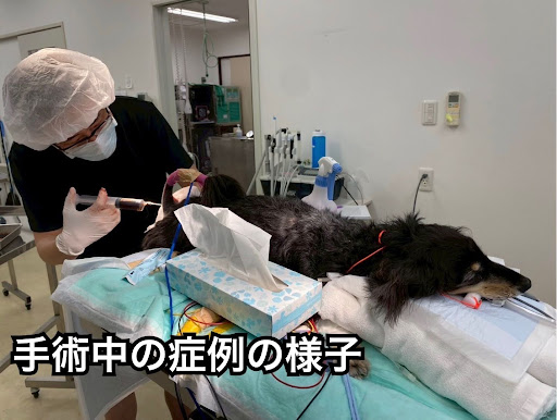 手術中の症例の様子