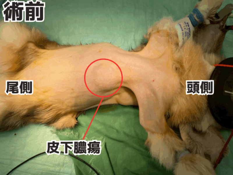 術前のしこりの様子